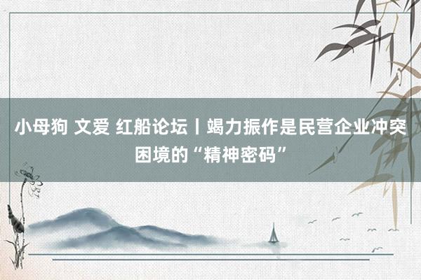 小母狗 文爱 红船论坛丨竭力振作是民营企业冲突困境的“精神密码”