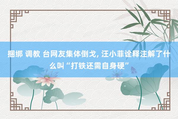 捆绑 调教 台网友集体倒戈， 汪小菲诠释注解了什么叫“打铁还需自身硬”